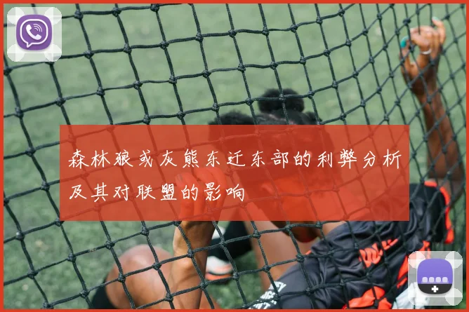 森林狼或灰熊东迁东部的利弊分析及其对联盟的影响